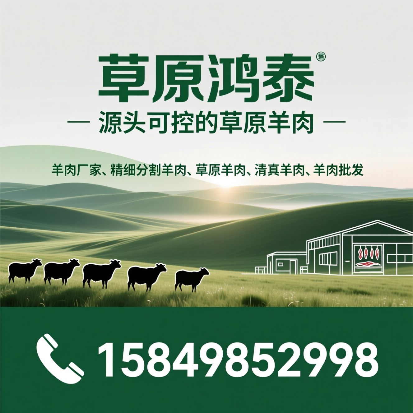 羊肉厂家_精细分割羊肉/草原羊肉/推荐草原鸿泰服务