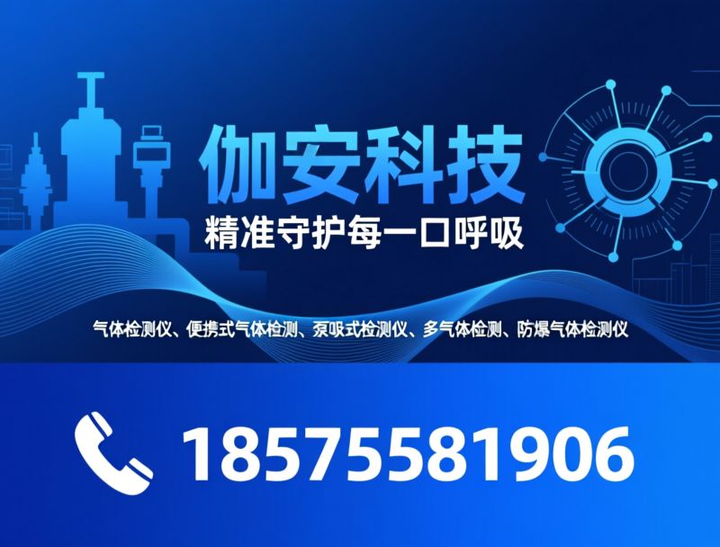 气体检测仪_便携泵吸式检测仪/多气体检测/推荐伽安科技服务