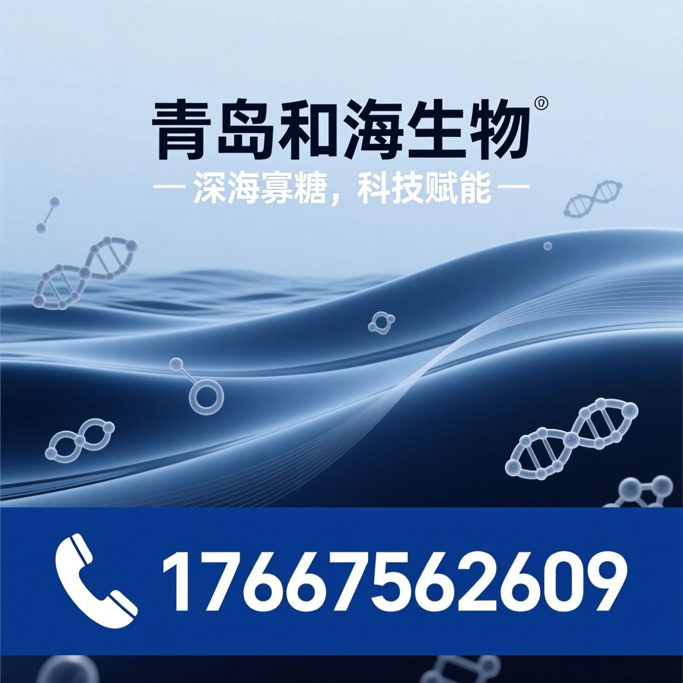 海洋寡糖_褐藻寡糖/壳寡糖/推荐青岛和海生物服务