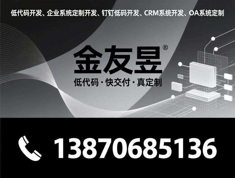 低代码开发_企业系统定制开发/钉钉低代码开发/推荐金友昱服务