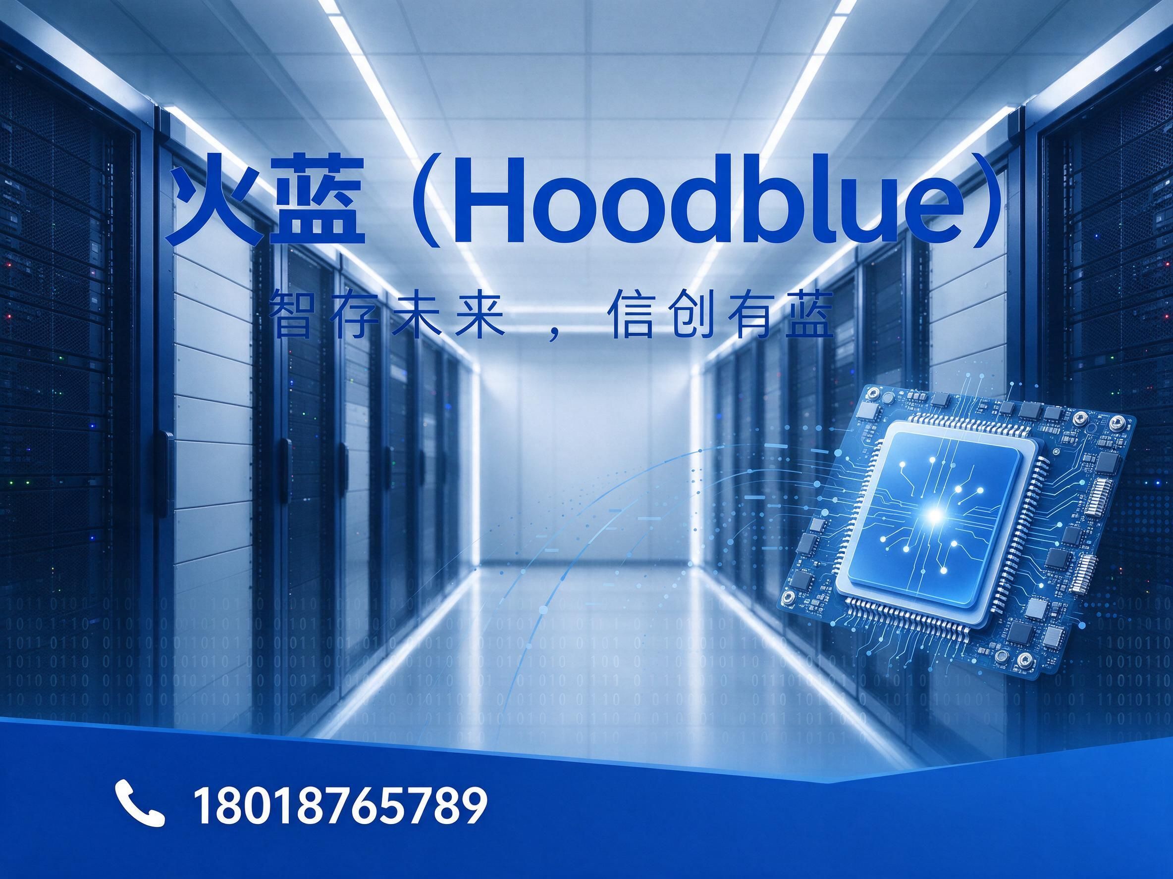 AI存储_国产化服务器/企业级存储/推荐火蓝（Hoodblue）服务