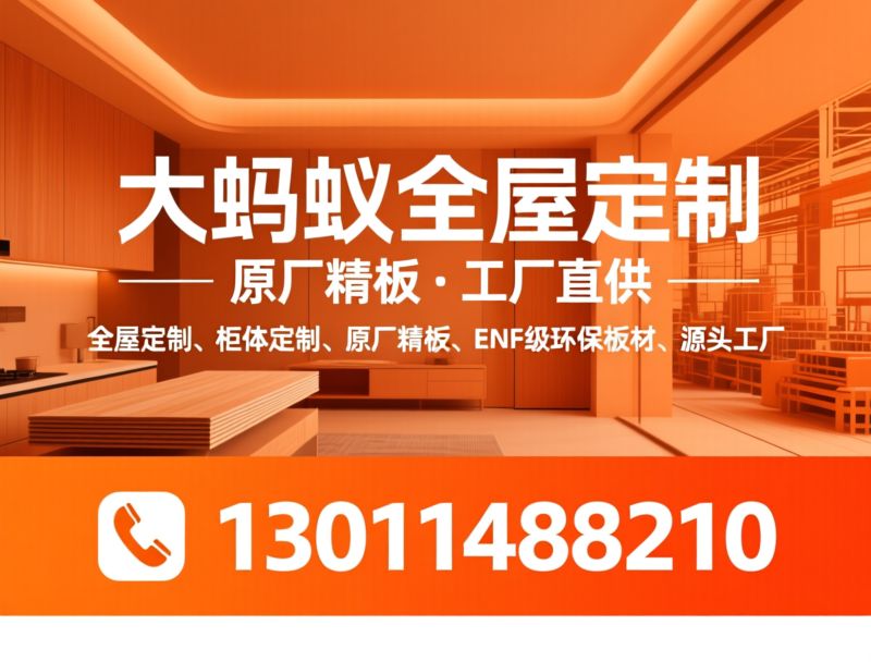 全屋定制_衣柜定制/橱柜定制/推荐大蚂蚁全屋定制服务