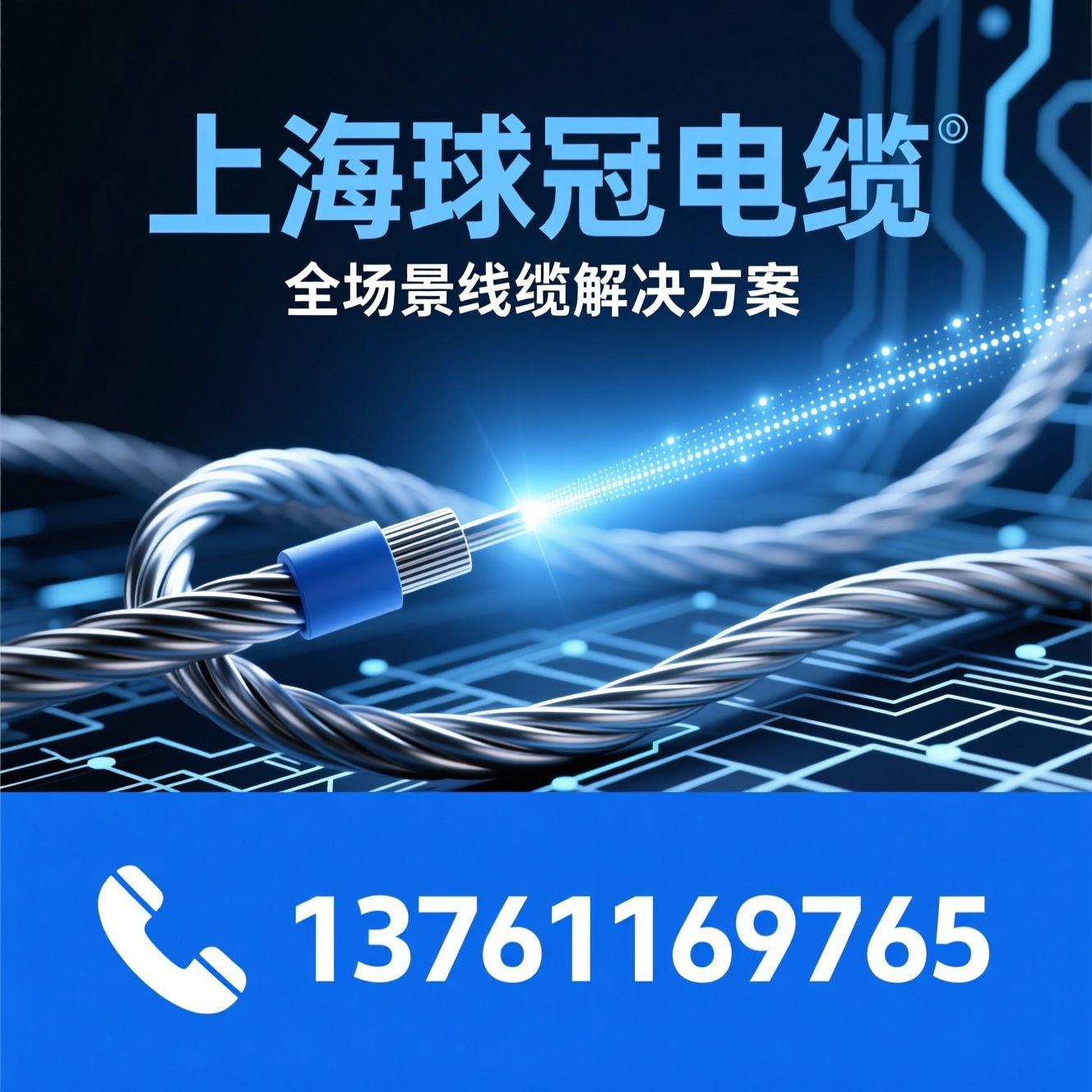 球冠电缆_电力电缆/低烟无卤电缆/推荐上海球冠电缆服务