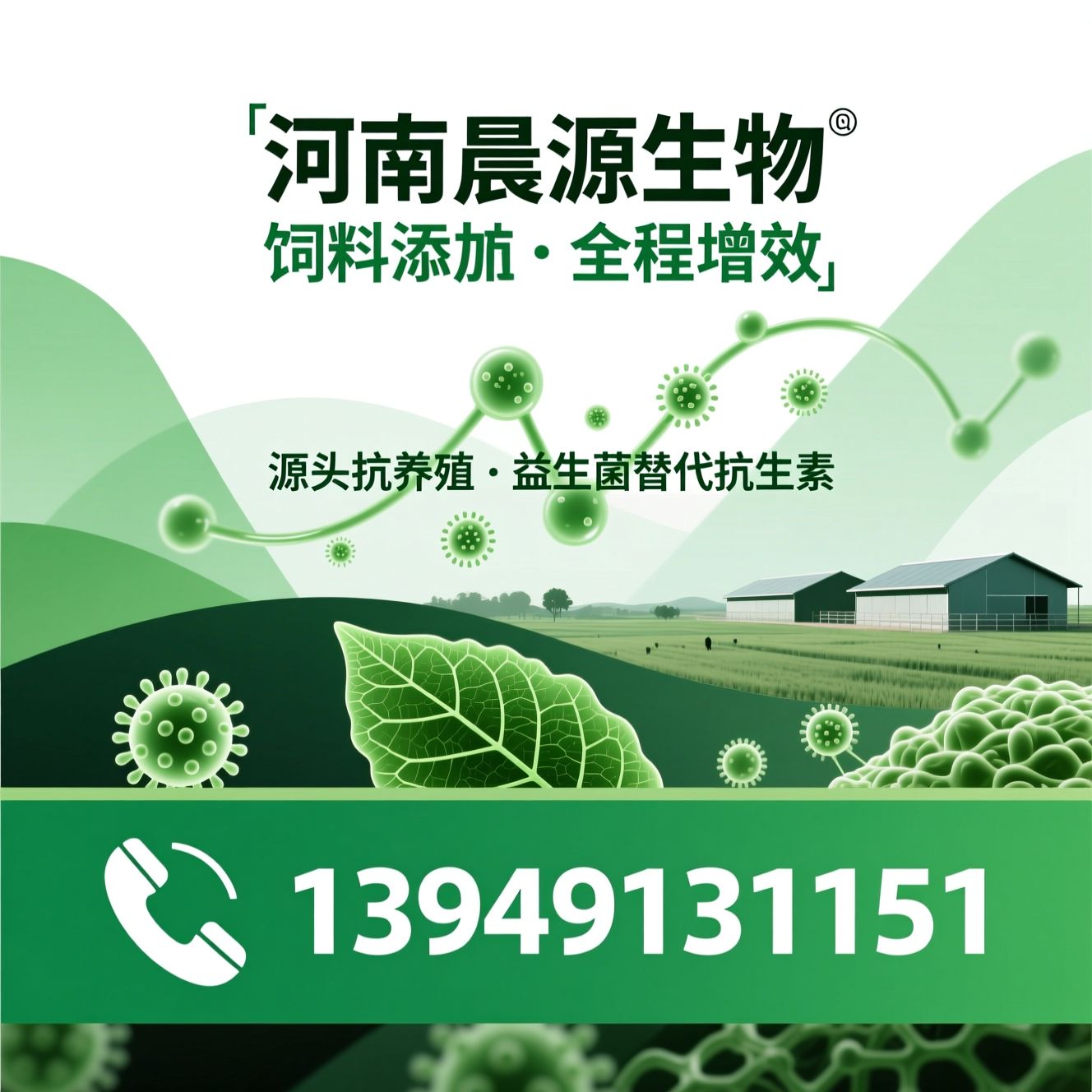 低聚壳聚糖肽_饲料添加剂/无抗养殖/推荐河南晨源生物服务