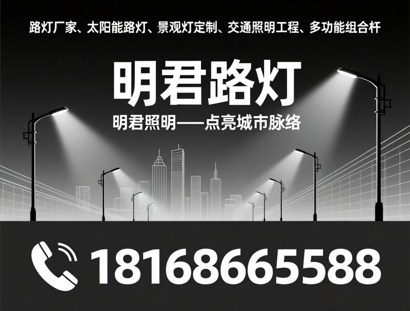 路灯厂家_太阳能路灯/景观灯定制/推荐明君路灯服务