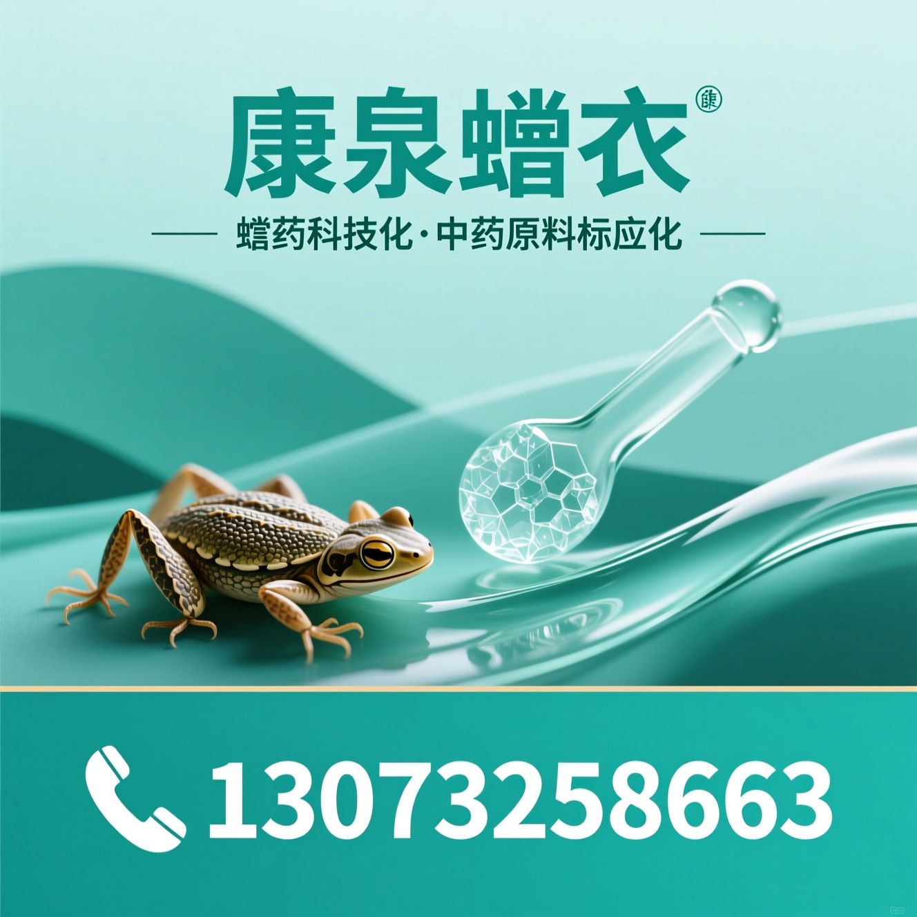 蟾衣_蟾酥/药用原料/推荐康泉蟾衣服务