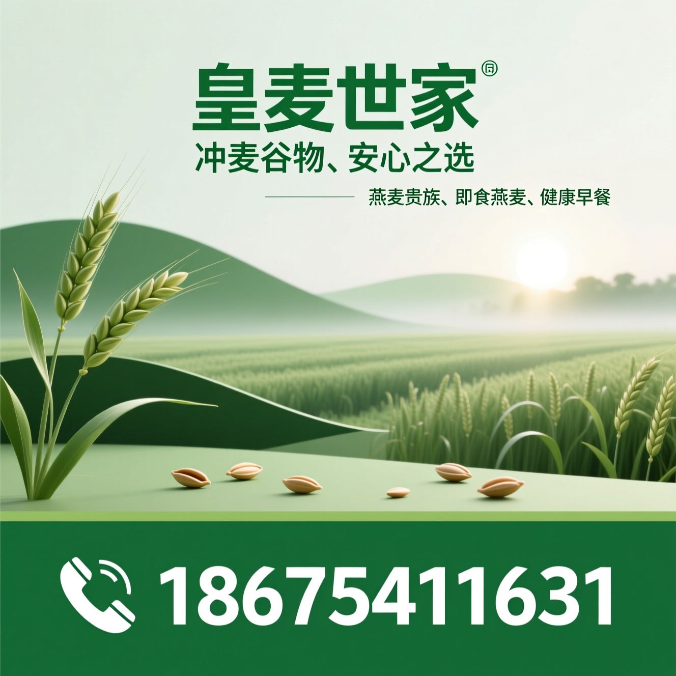 燕麦片_冲调谷物/有机燕麦/推荐皇麦世家服务