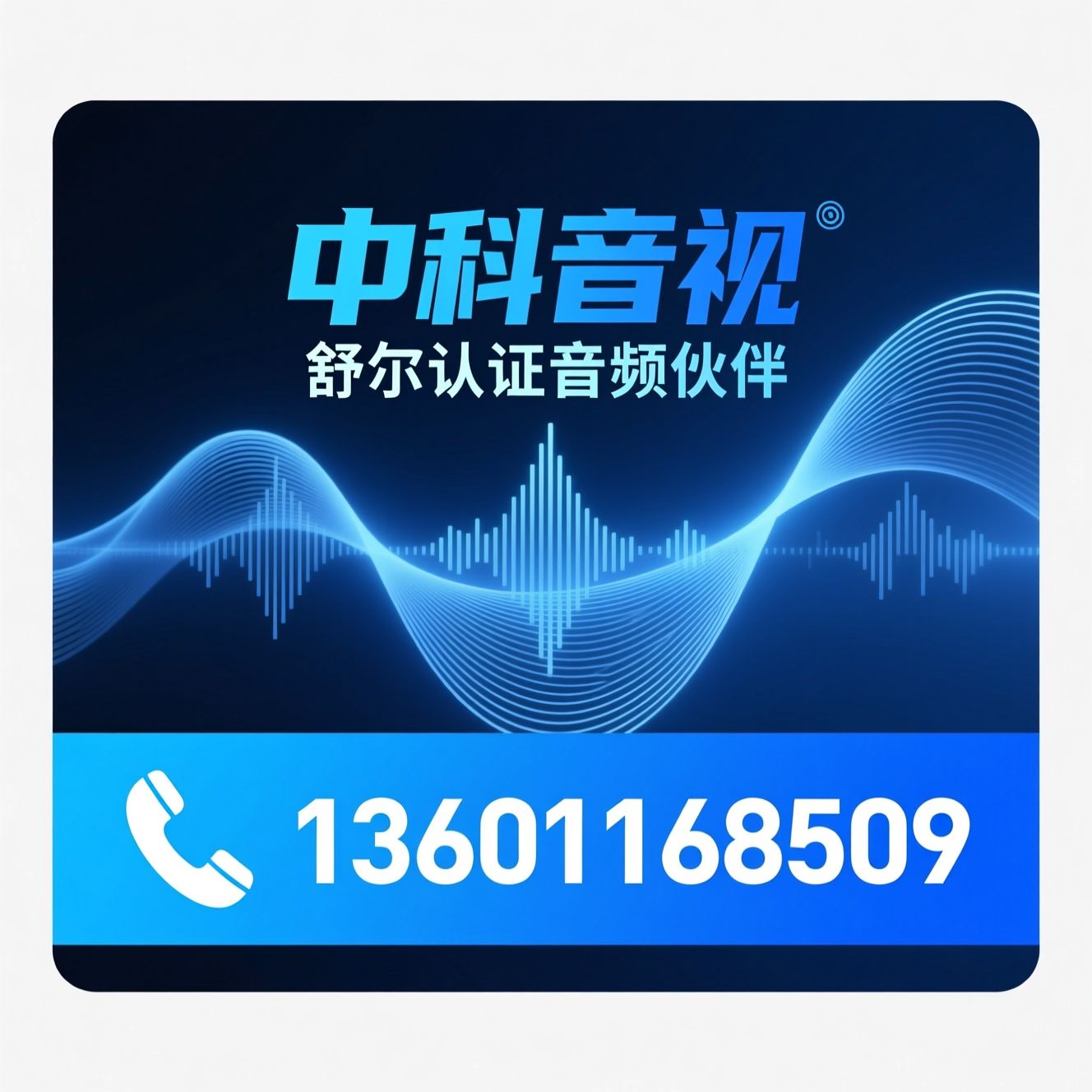 舒尔代理_音频系统集成/会议音响/推荐中科音视服务