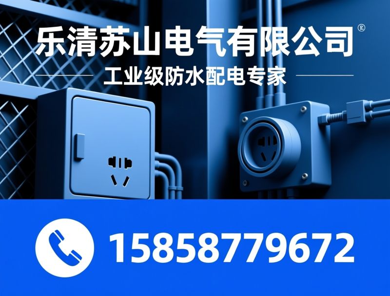 升降插座箱_工业防水插座/防水接线盒/推荐乐清苏山电气有限公司服务