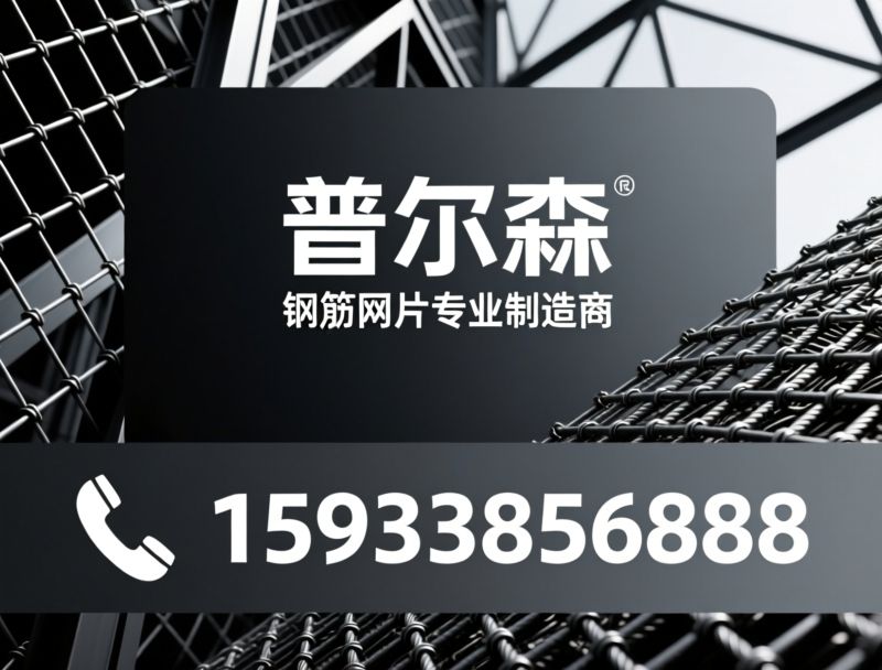 钢筋网片_电焊石笼网/冷轧带肋钢筋/推荐普尔森服务