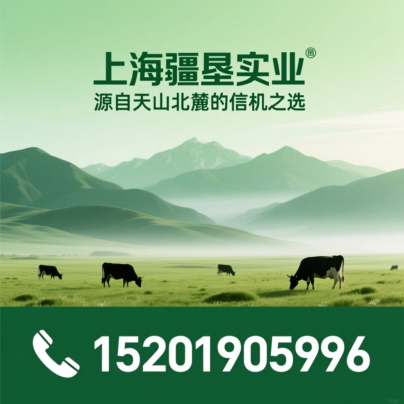 成人奶粉_新疆奶粉/纯牛奶/推荐上海疆垦实业服务